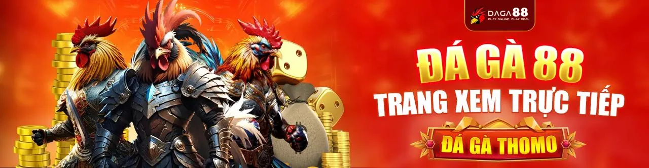 Đá gà trực tiếp kịch tính tại vf88 link vào